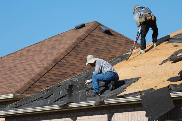 Best Asphalt Shingle Roofing  in Kerhonkson, NY